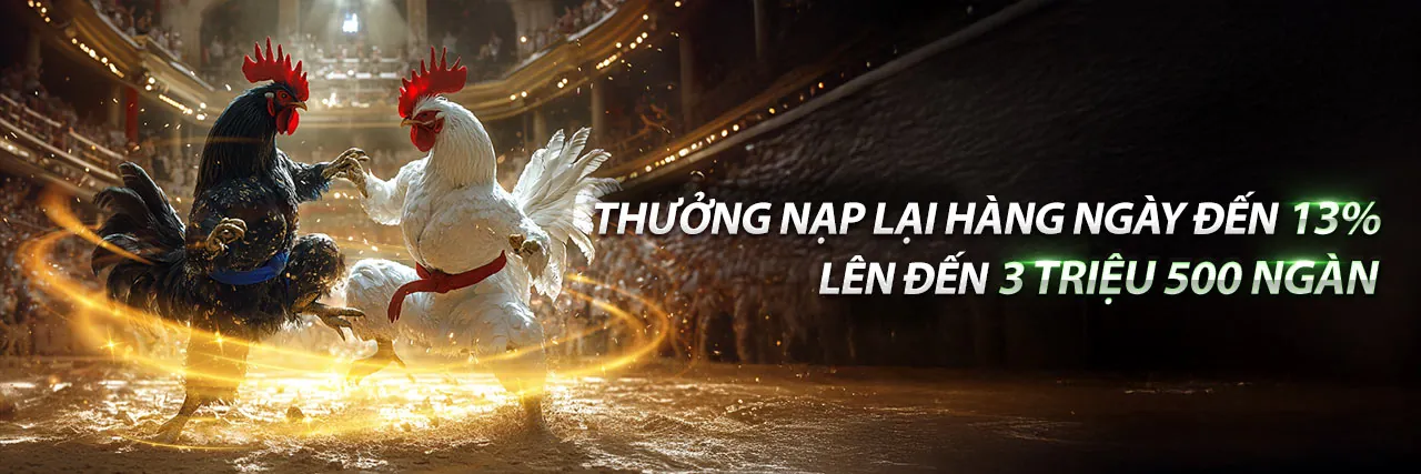 Hình ảnh Điều Khoản Dịch Vụ Arne Chính Thức